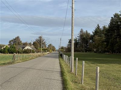 Plot 3 - Paddock